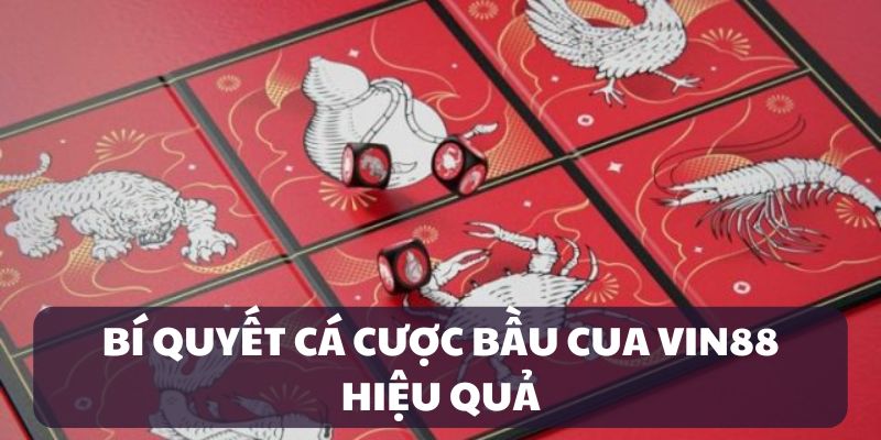 Bí quyết cá cược hiệu quả