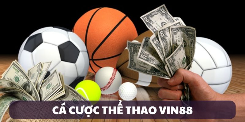 Cá cược thể thao vin88