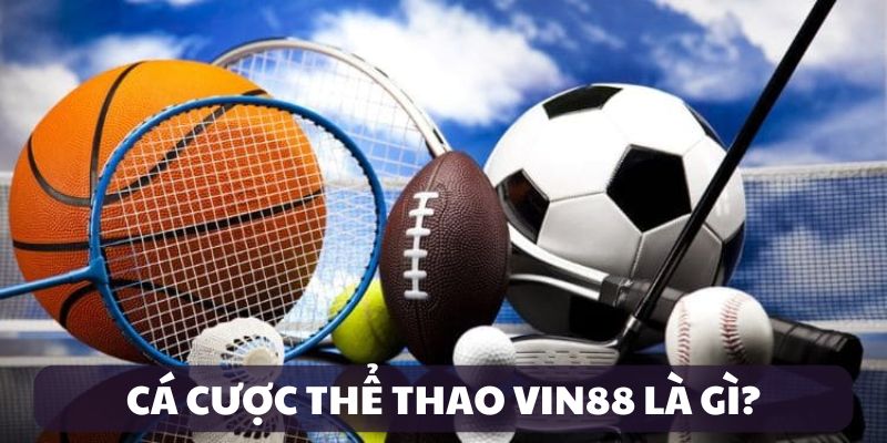 Giới thiệu cá cược thể thao VIN88