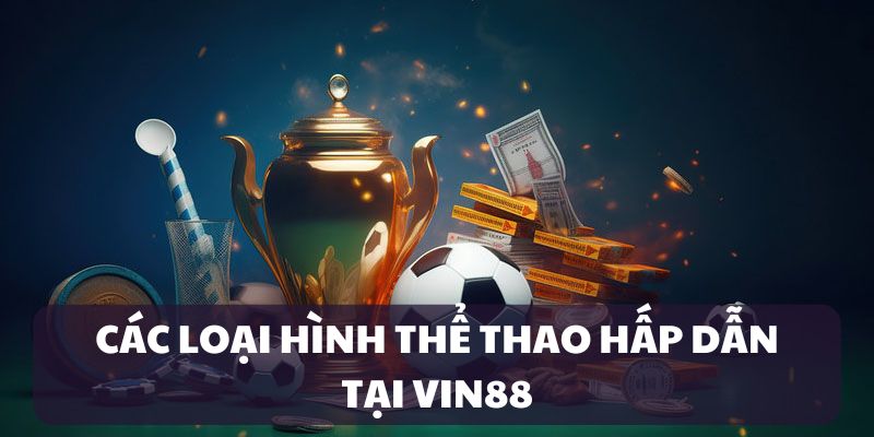 Các loại hình thể thao