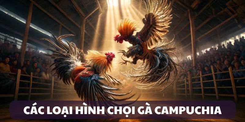 Các loại hình chọi gà Campuchia