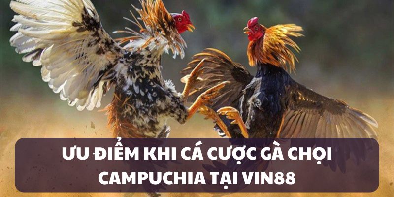 Ưu điểm của sảnh