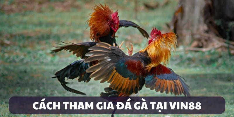 Hướng dẫn cách tham gia