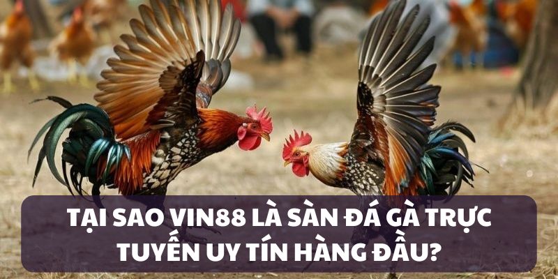 Ưu điểm của sảnh cược