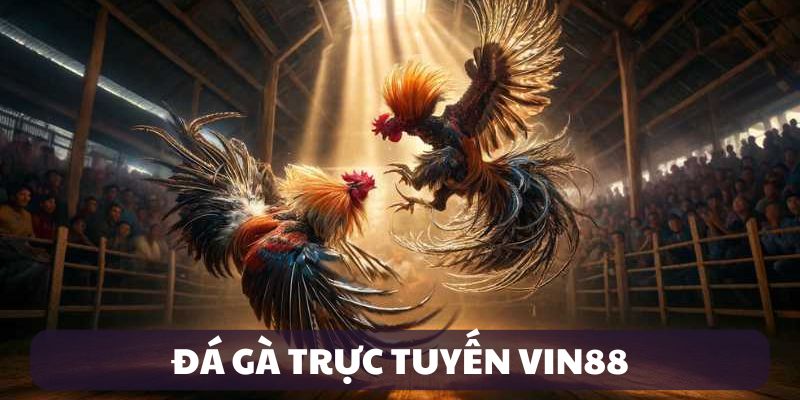 Đá gà trực tuyến vin88