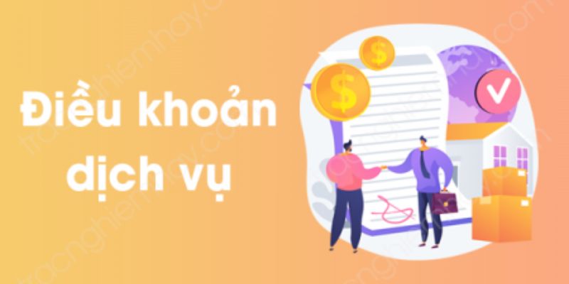 Tổng quan về điều khoản