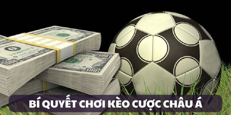 Bí quyết cược hiệu quả